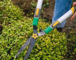 Naturamax | Jardinier Sur la Bathie, Albertville, Beaufortain et les saisies