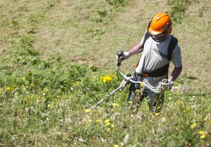 Debroussaillage sur la Bathie, Albertville, Beaufortain et les saisies
