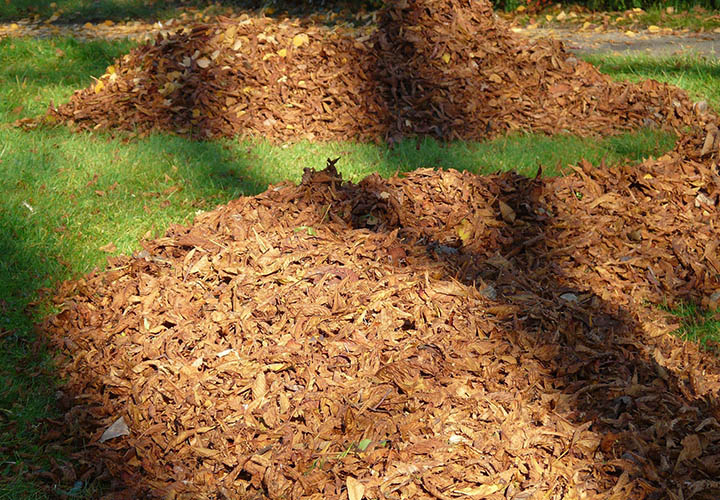 Ramassage des déchets verts sur la Bathie, Albertville, Beaufortain et les saisies