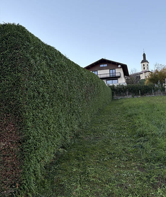 Taille de haie la Bathie, Albertville, Beaufortain et les saisies | Naturamax