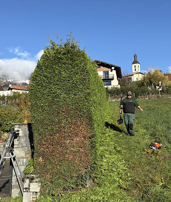 Taille de haie la Bathie, Albertville, Beaufortain et les saisies | Naturamax