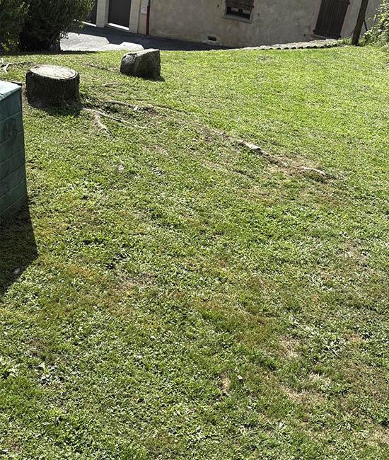 Tonte de jardin la Bathie, Albertville, Beaufortain et les saisies | Naturamax